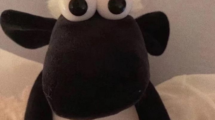 ？