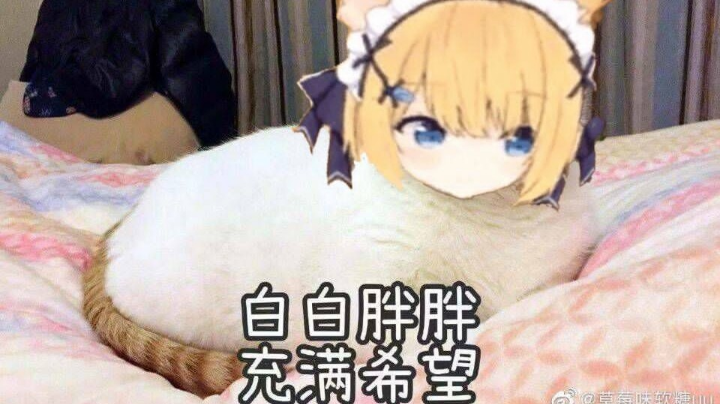 2021－7－28军八