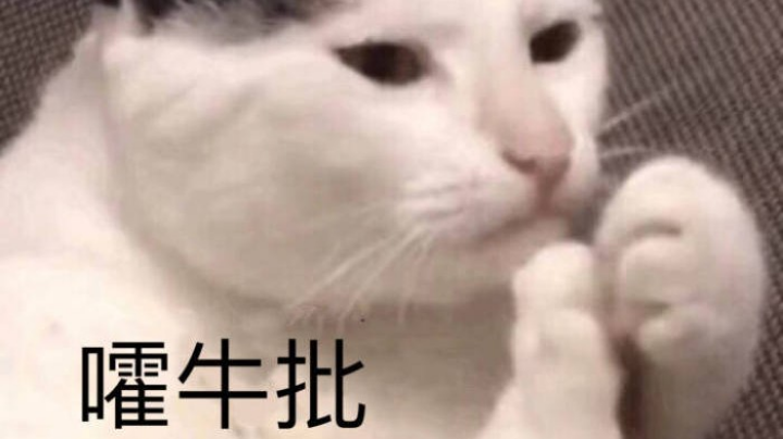 首鸡