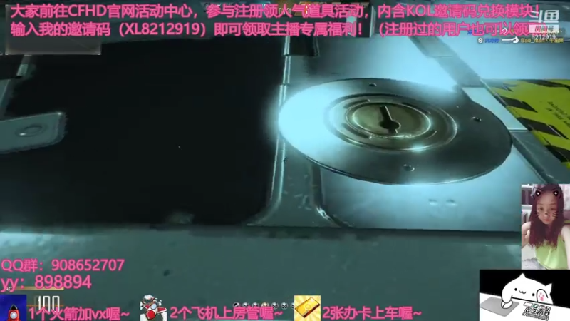 【2021-07-27 23点场】一只小小流浪猫：小菜鸟出没，请注意！！！