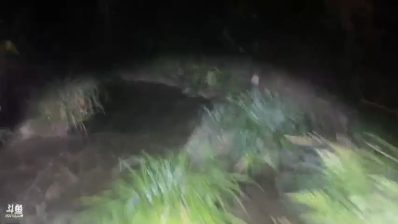 【2021-07-29 20点场】魅力生活i：抓山螃蟹河虾。