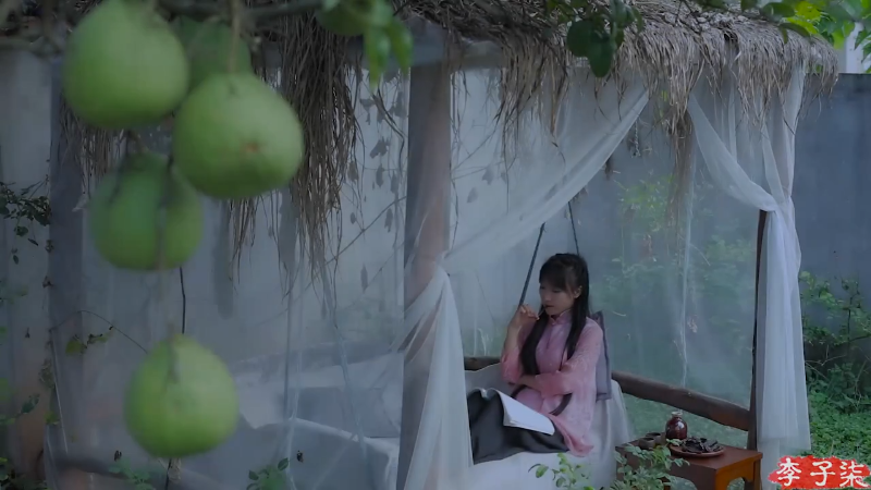 【美食】李子柒liziqi的精彩时刻 20210729 11点场