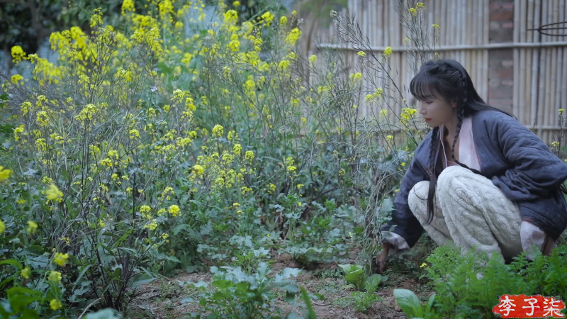 【美食】李子柒liziqi的精彩时刻 20210729 21点场