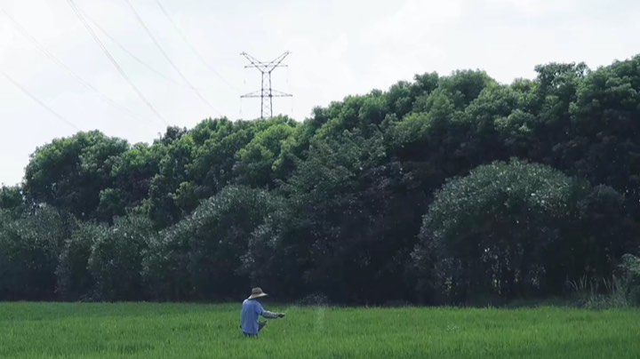 今天是枪男玉兔