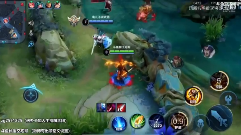 这不是毛毛，是猴王
