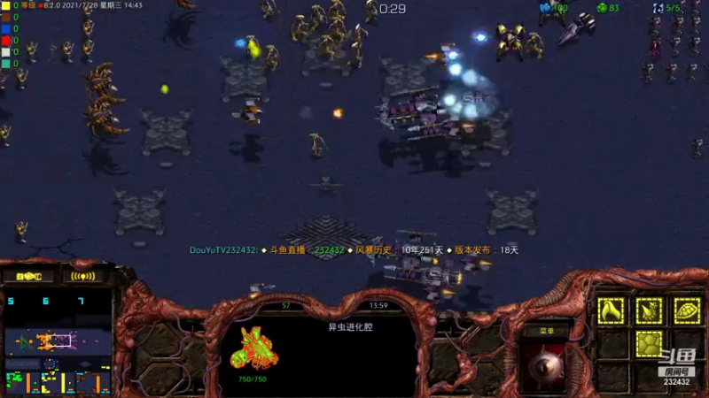 【2021-07-28 14点场】星际DSA联赛：天使風暴™️ 專業版