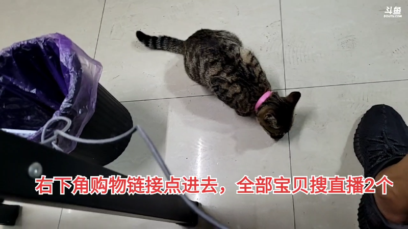 我在斗鱼看黑人毅直播户外