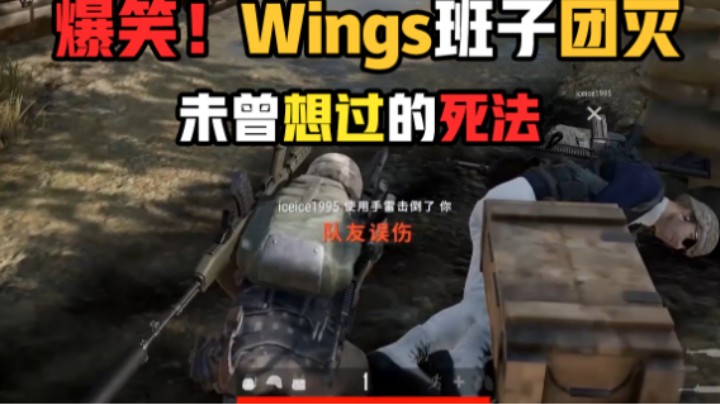 【刀圈大爆炸】47 究极爆笑！Wings班子团灭离奇案件，这个死法也太搞笑了