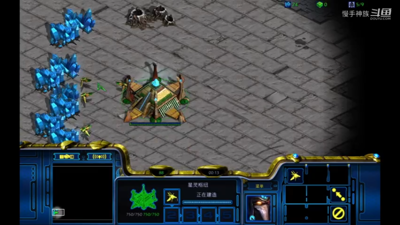 天梯pvp甲虫开局2021-07-29 07-46-57