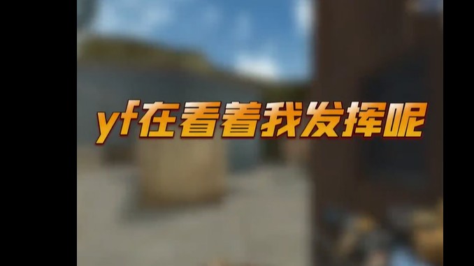 算了别看了