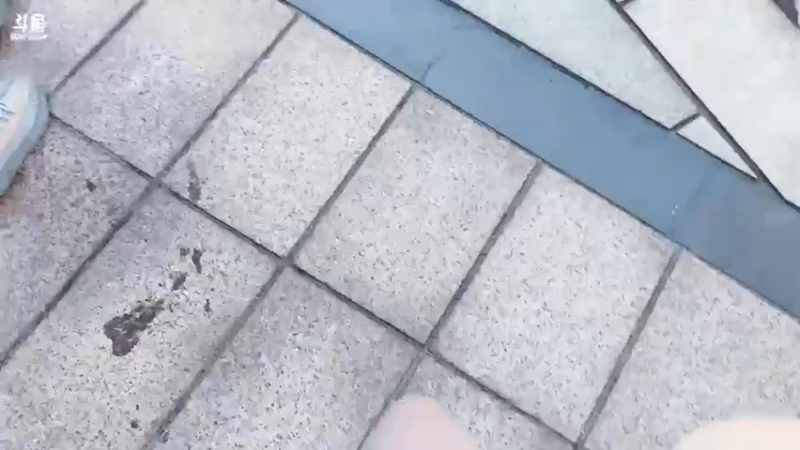 【2021-07-26 16点场】一只蘇l：跟师父游乐园一日游！