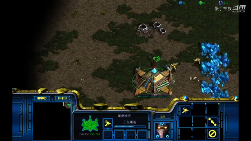 pvz斗魂罗双开局2021-07-30 05-17-15