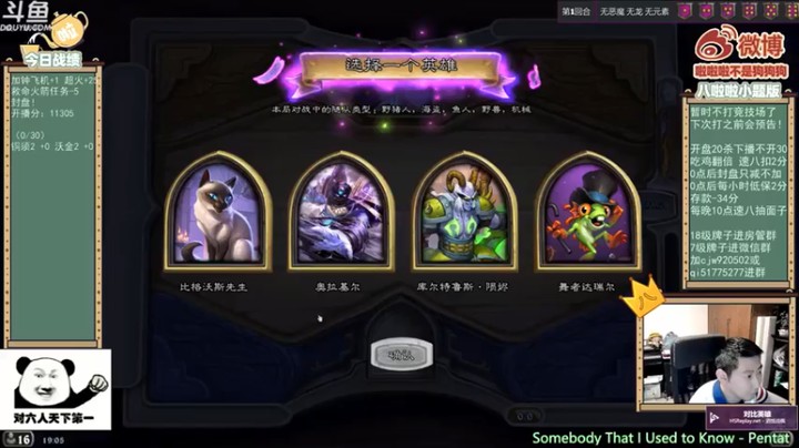 【啦啦啦不是狗狗狗】猫猫，机械野猪惜败