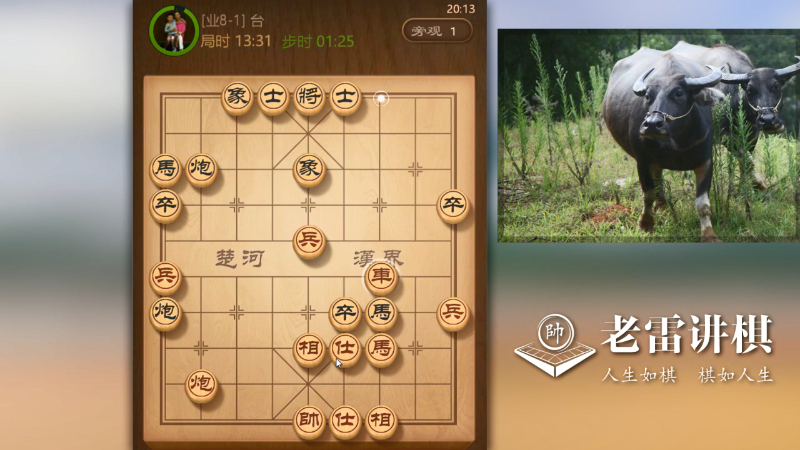 【天天象棋】雷疯小叔的精彩时刻 20210730 17点场