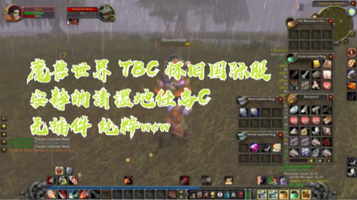 魔兽世界 TBC 怀旧国际服 安静的清湿地任务F无插件 纯粹wow