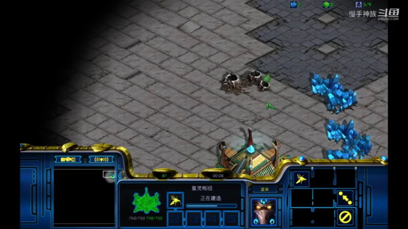 pvz拖延一下虫2矿，导致对手很急躁2021-07-31 20-11-31