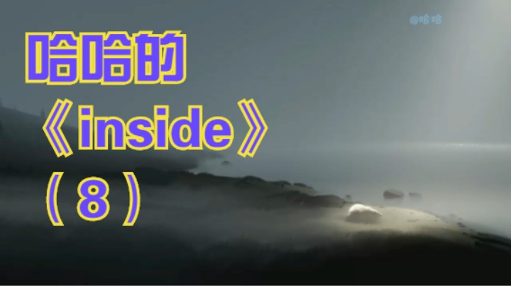 哈哈的《inside》（8）