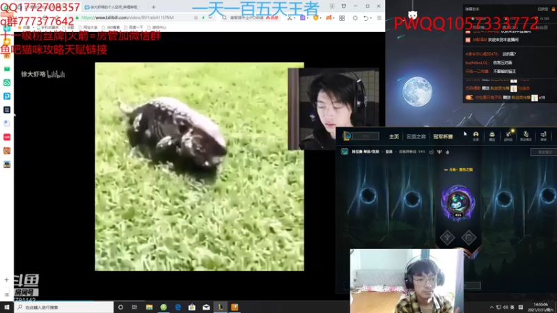 【2021-07-31 14点场】雪色之猫：只属于猫咪的直播间