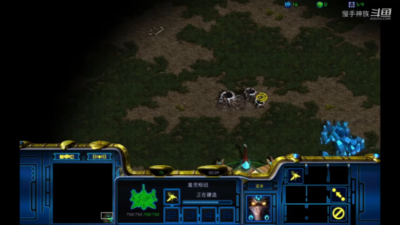 pvz斗魂克制罗双2021-07-31 05-29-26