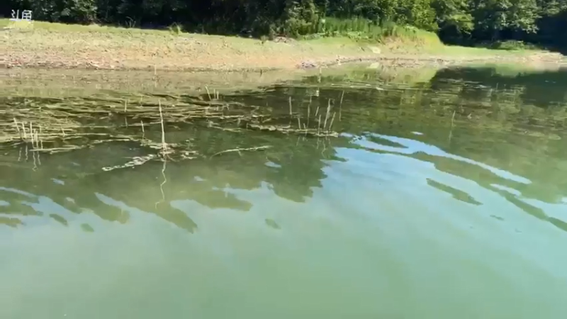 【2021-07-31 09点场】魅力生活i：兄弟们10点见