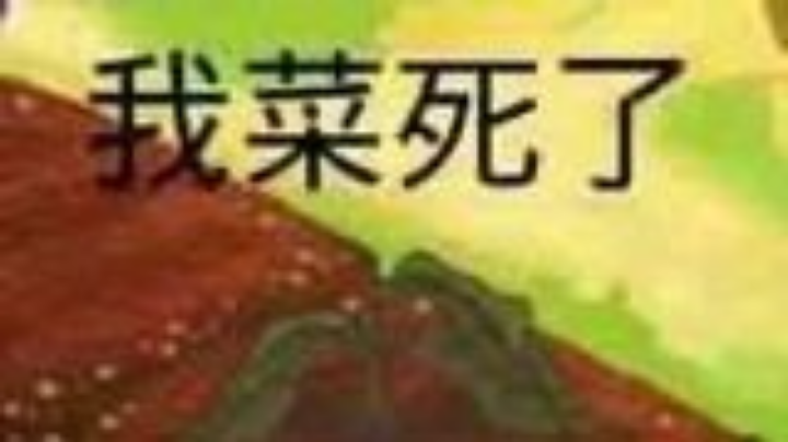 这也太拉了
