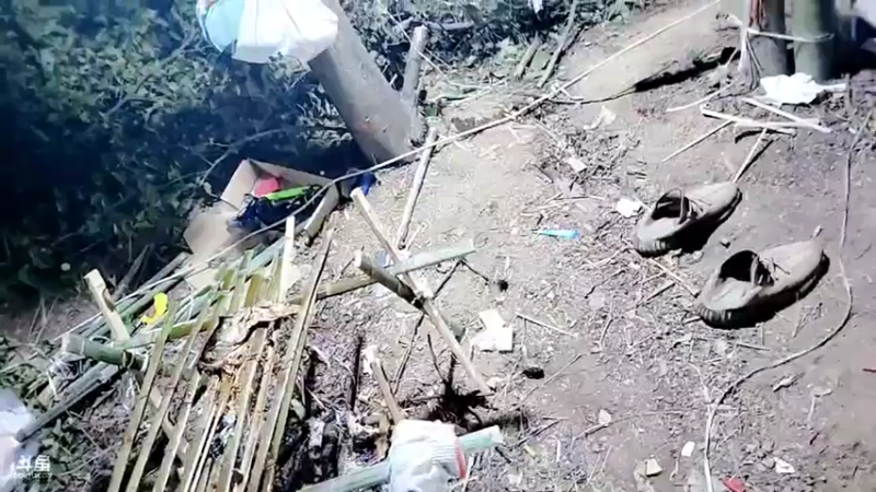 【2021-07-31 00点场】洪湖小肖：《仙女岛逃生记 》第3天