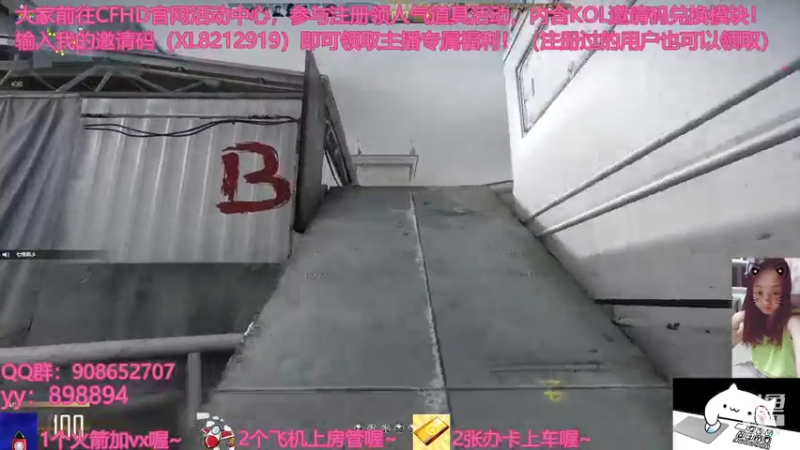 【2021-07-30 22点场】一只小小流浪猫：小菜鸟出没，请注意！！！