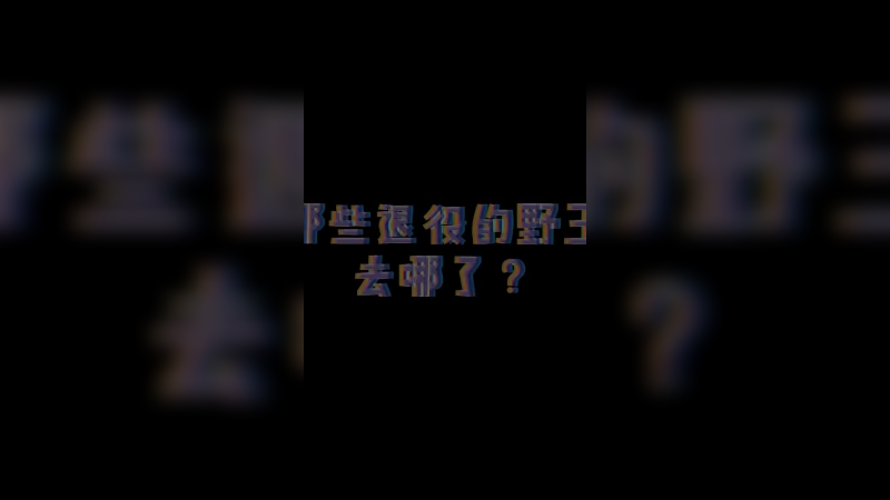 这可能就是退役的打野不打辅助的原因吧。