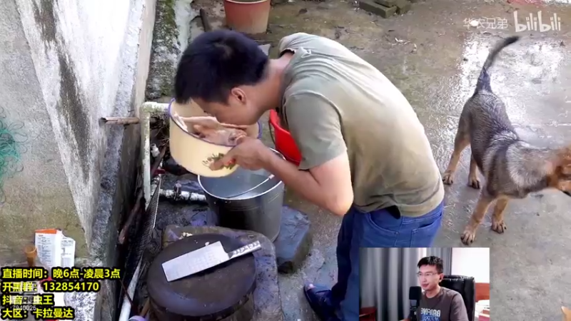 【2021-07-31 02点场】Chogod虫王：虫王：一条大肉虫，学会大师！