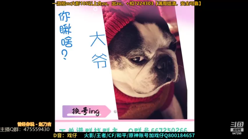 【2021-07-30 21点场】小马锅马杰：马锅：没有勇气的胆小鬼罢了。