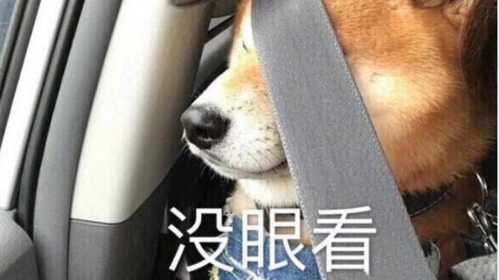 太惨辽