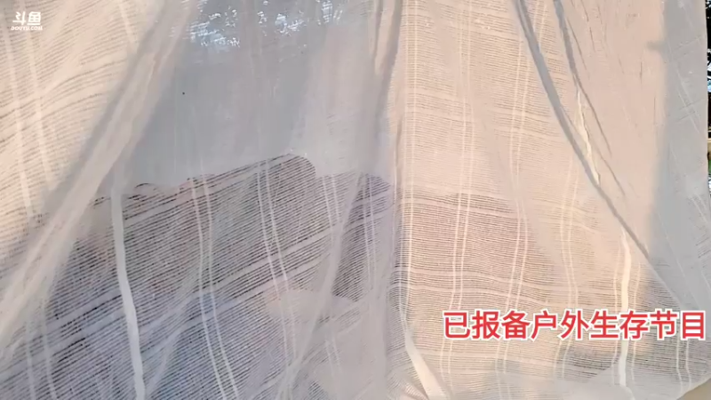 【2021-07-31 06点场】洪湖小肖：《仙女岛逃生记 》第3天