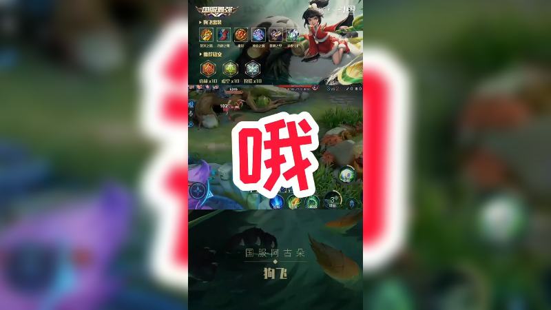 阿狗集锦