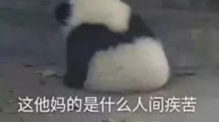 榴弹回放3