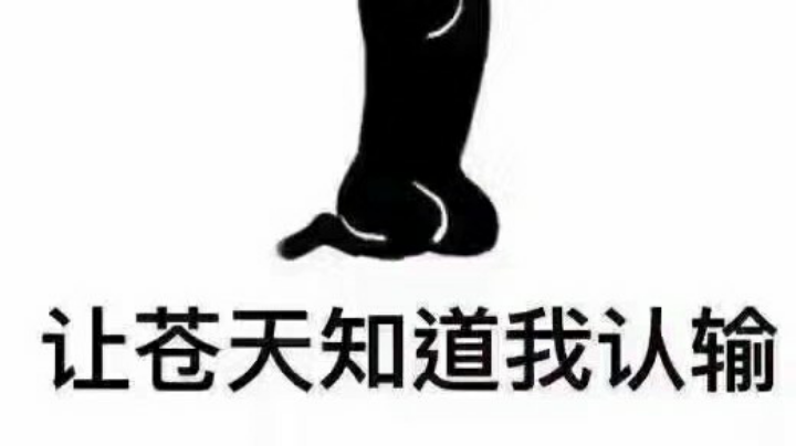 回放