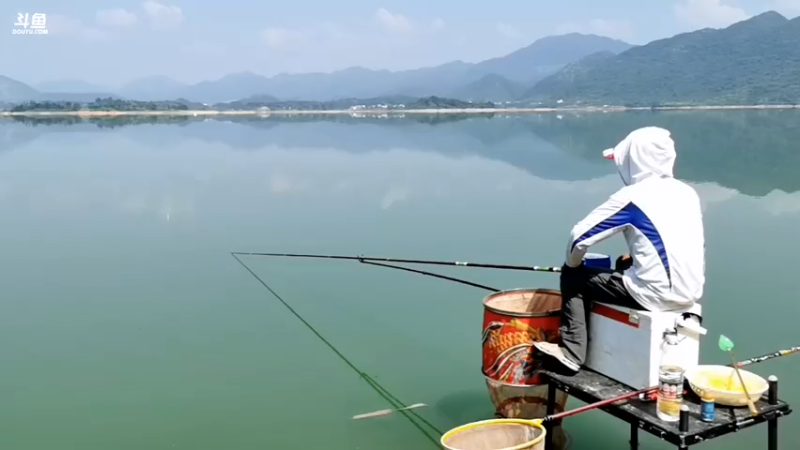 【2021-08-01 10点场】中华户外钓鱼：通山钓翘嘴