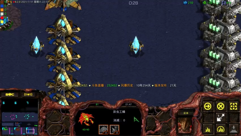 【2021-07-31 22点场】星际DSA联赛：天使風暴™️ 專業版