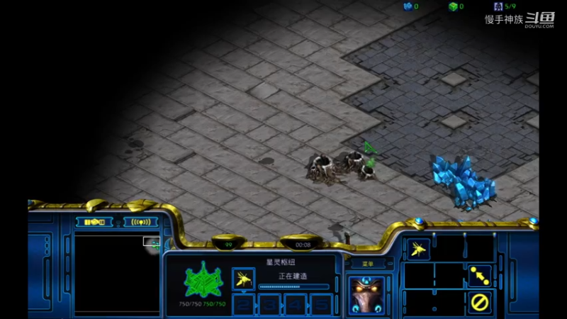 pvt天梯限制人族开矿2021-08-01