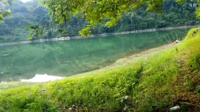 【2021-08-01 07点场】魅力生活i：魅力又来喂鱼来了