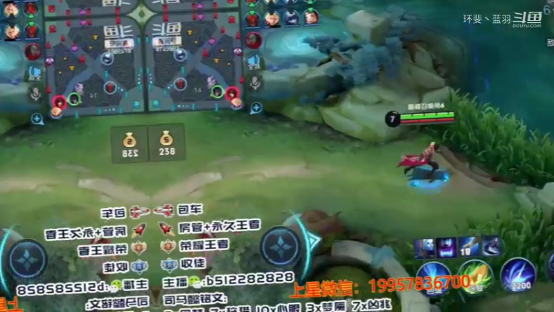 蓝羽集锦