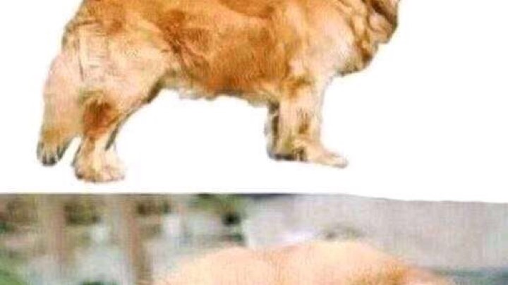 一个人嗨