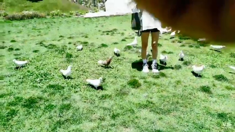 【2021-08-02 13点场】正经人令北：这几天 随机户外哦