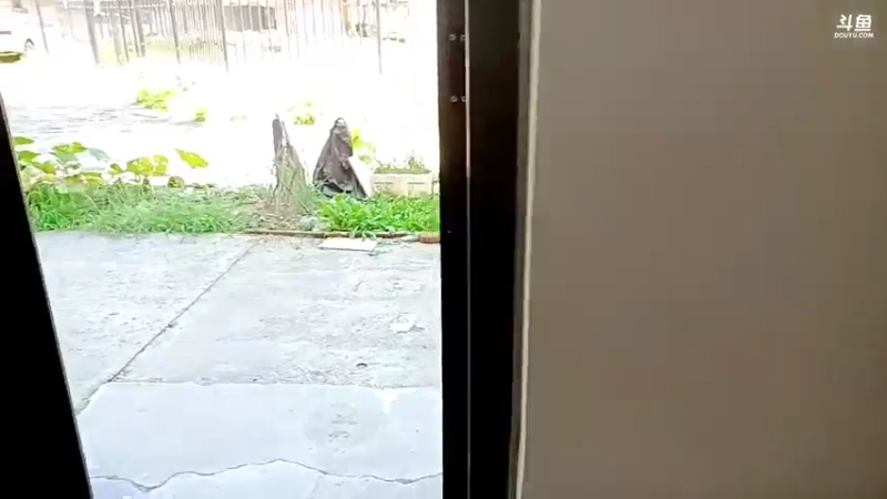 【2021-08-02 12点场】o北京老王o：减肥没的说