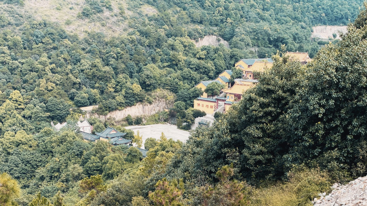 apex英雄直播回放