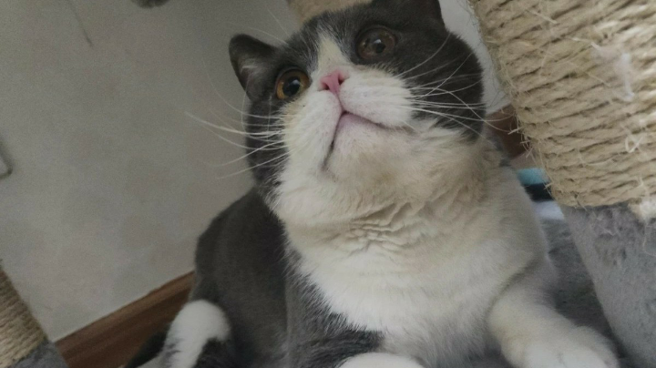录像