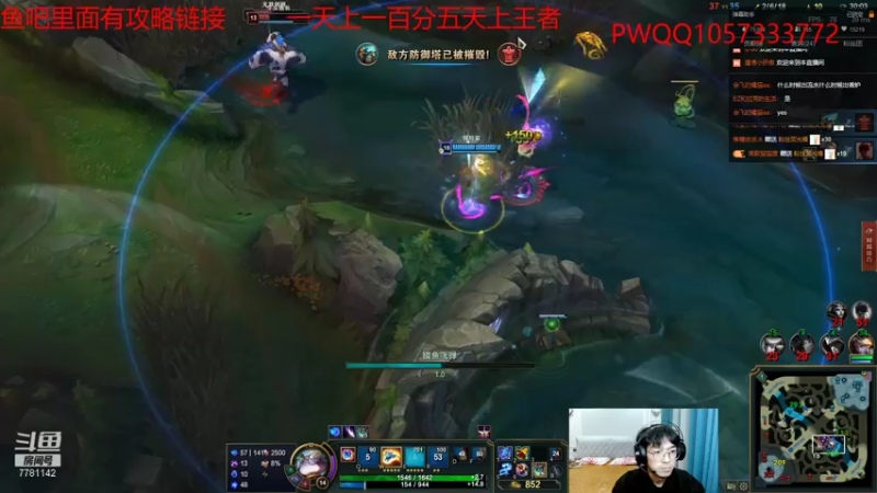 【2021-08-01 17点场】雪色之猫：只属于猫咪的直播间