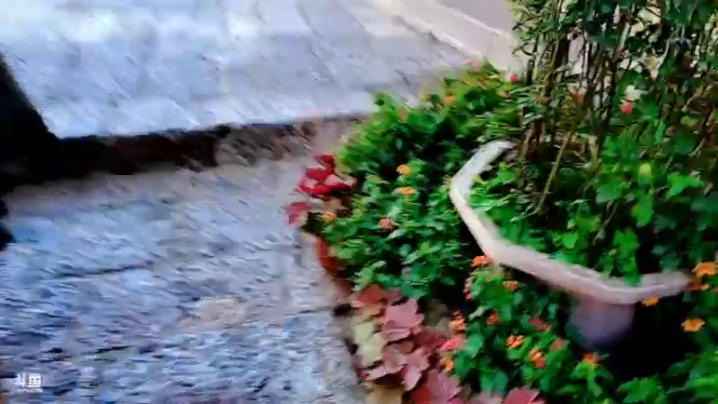 【2021-08-02 09点场】正经人令北：这几天 随机户外哦