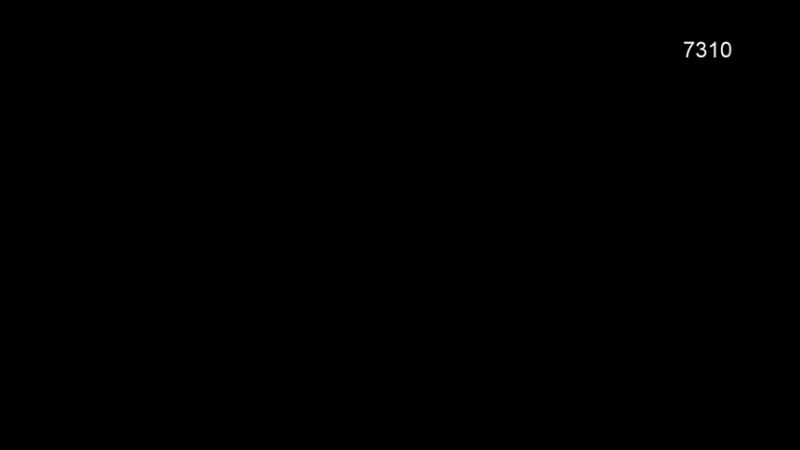 【2021-08-01 23点场】清清清清倾：绝不可能输的直播间~