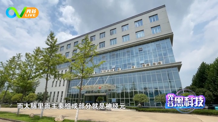 第五十六周光谷黑科技之枢密脑科学0802