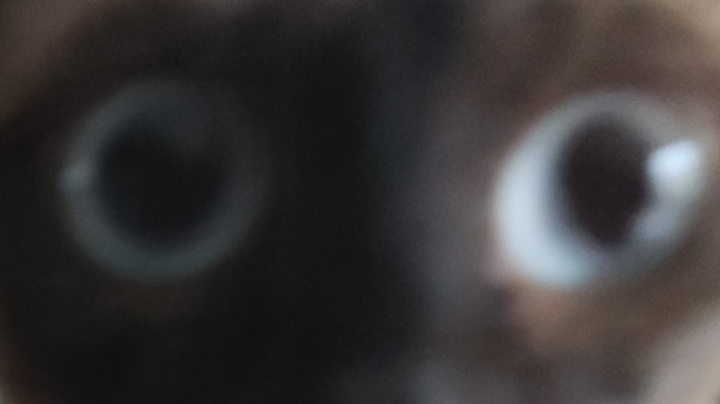 牛笔